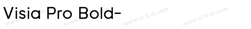Visia Pro Bold字体转换
